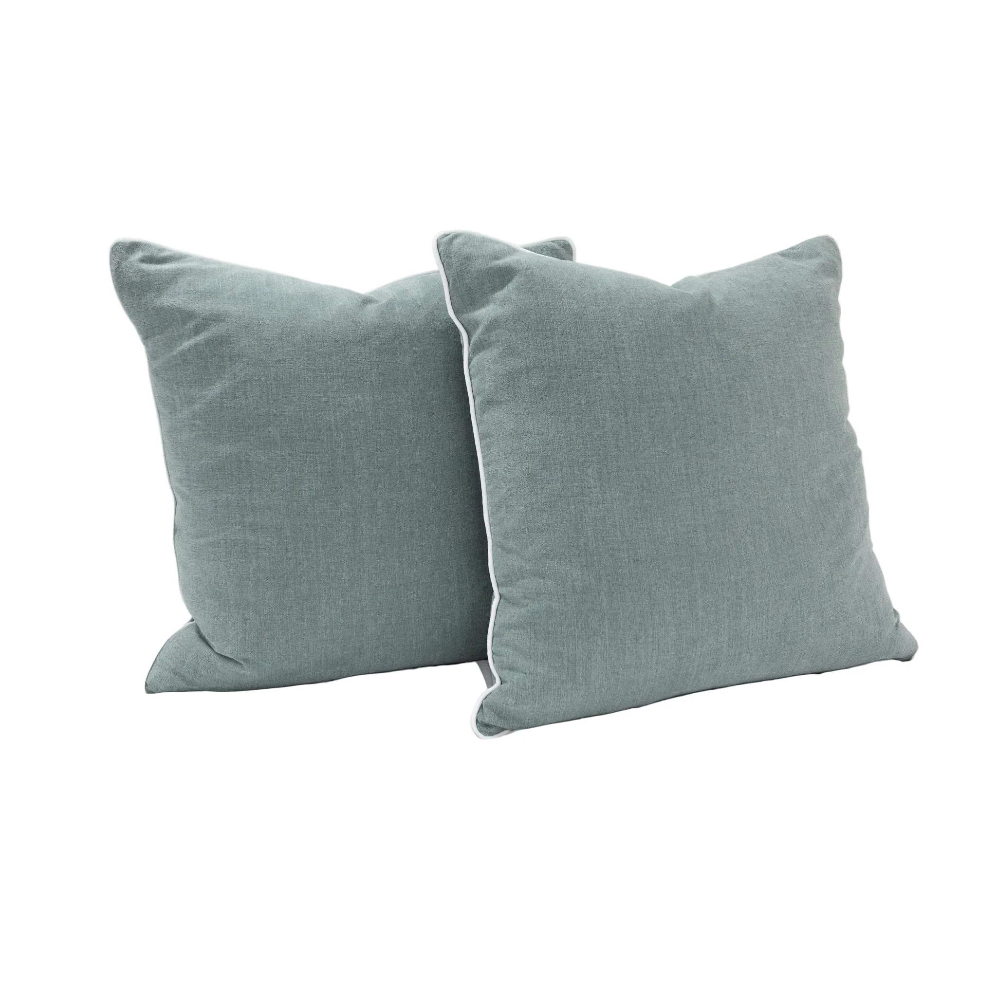 24”x24” Throw Pillow ( Set of 2) - Sage Green Custom Upholstered Accent Pillows