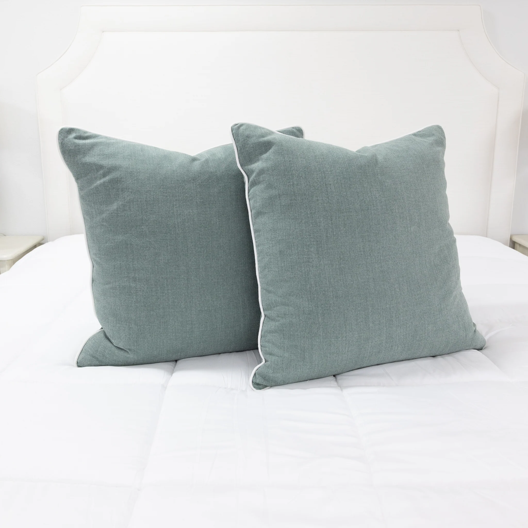 24”x24” Throw Pillow ( Set of 2) - Sage Green Custom Upholstered Accent Pillows - Image 3